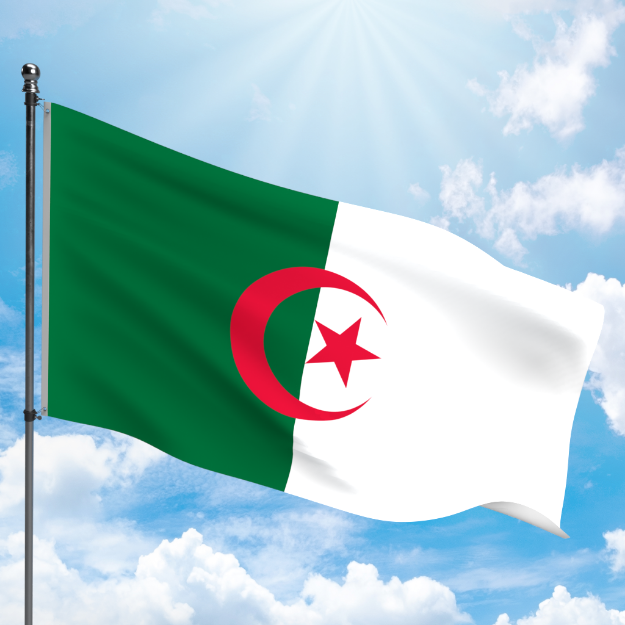 Picture of ALGERIA FLAG