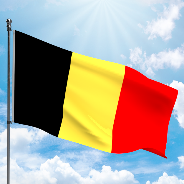 Picture of BELGIUM FLAG