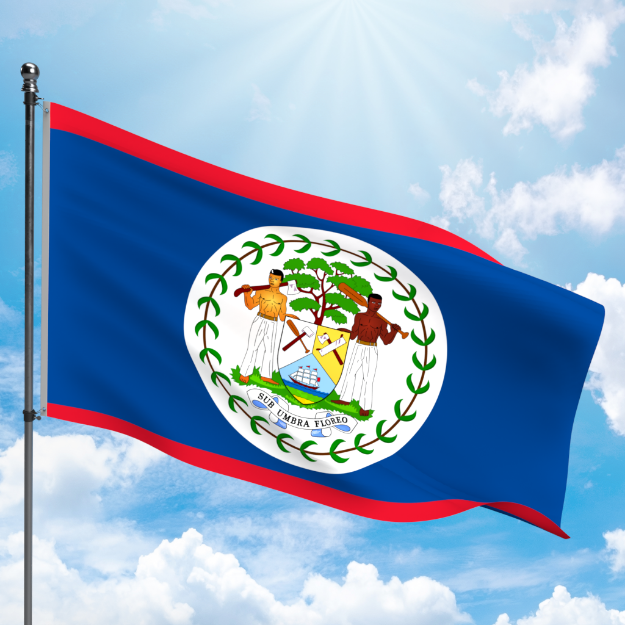 Picture of BELIZE FLAG
