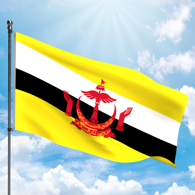 Picture of BRUNEI FLAG