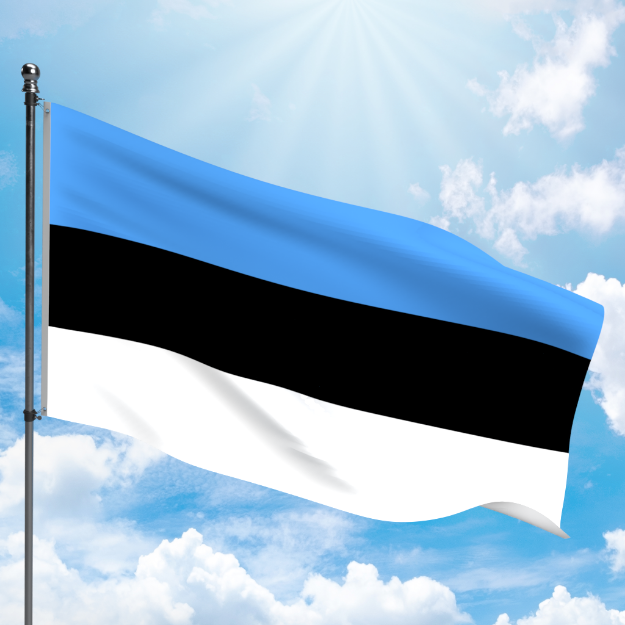Picture of ESTONIA FLAG