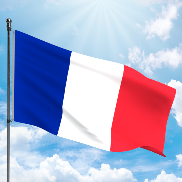 Picture of FRANCE FLAG