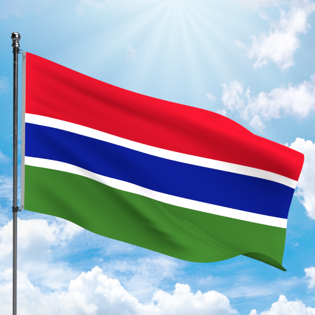 Picture of GAMBIA FLAG