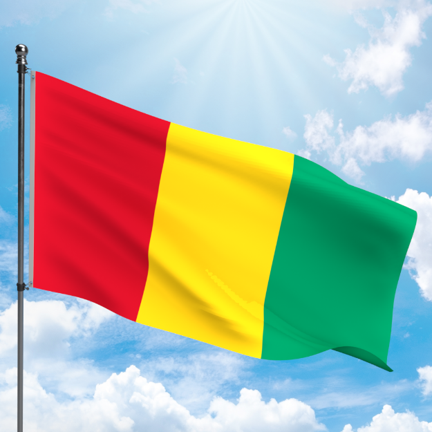 Picture of GUINEA FLAG