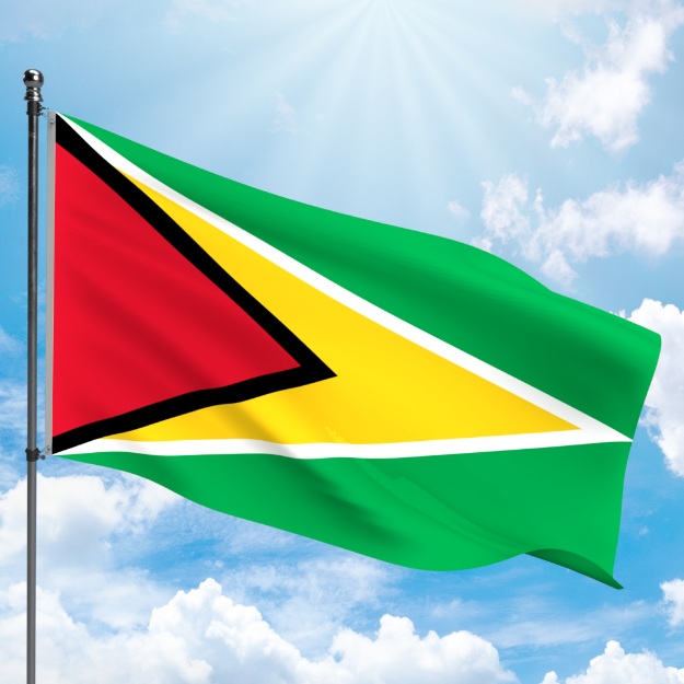 Picture of GUYANA FLAG