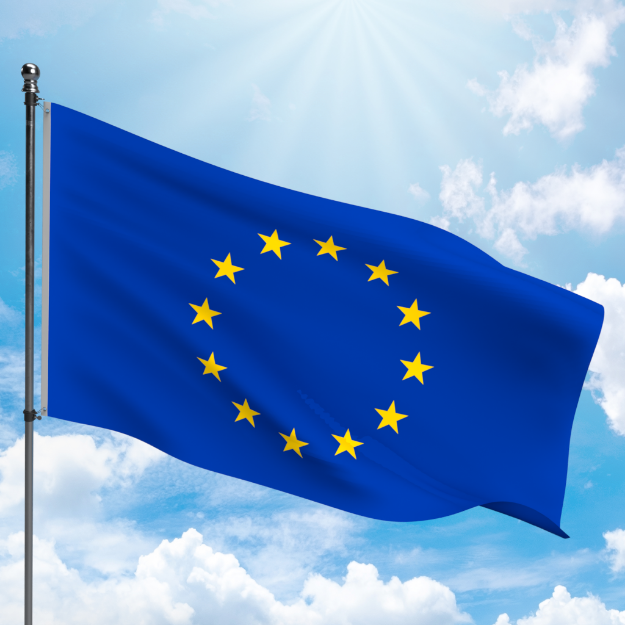 Picture of EUROPEAN UNION FLAG