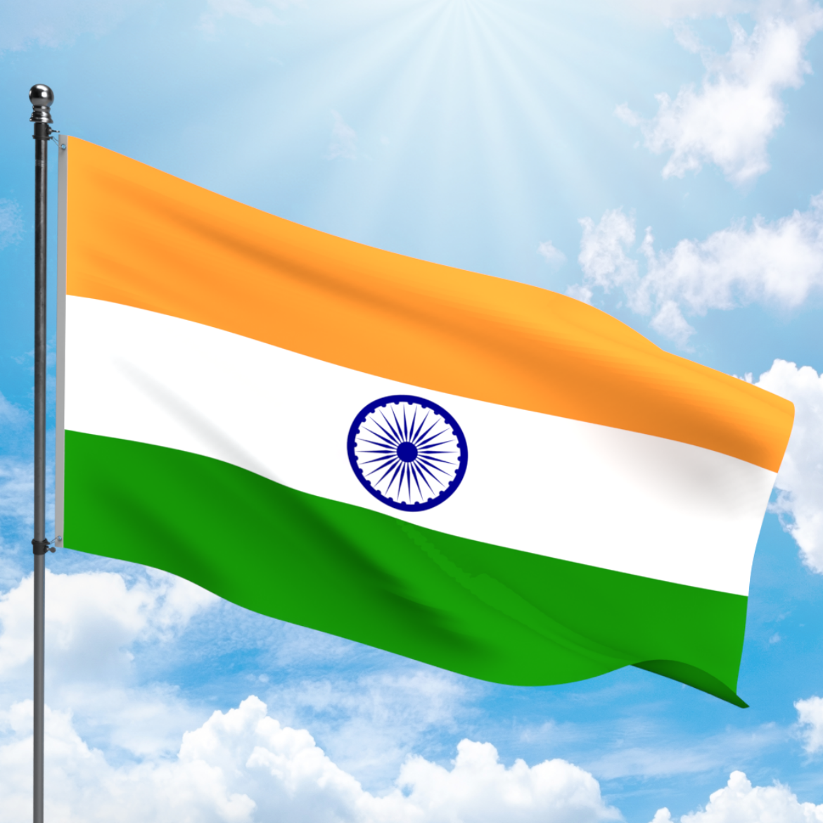 Picture of INDIA FLAG