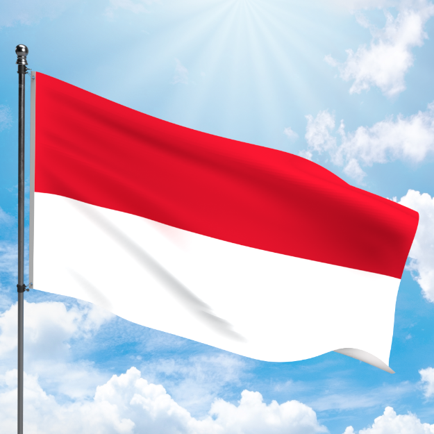 Picture of INDONESIA FLAG