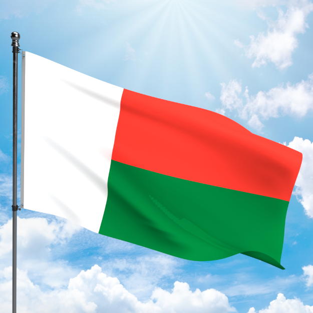 Picture of MADAGASCAR FLAG