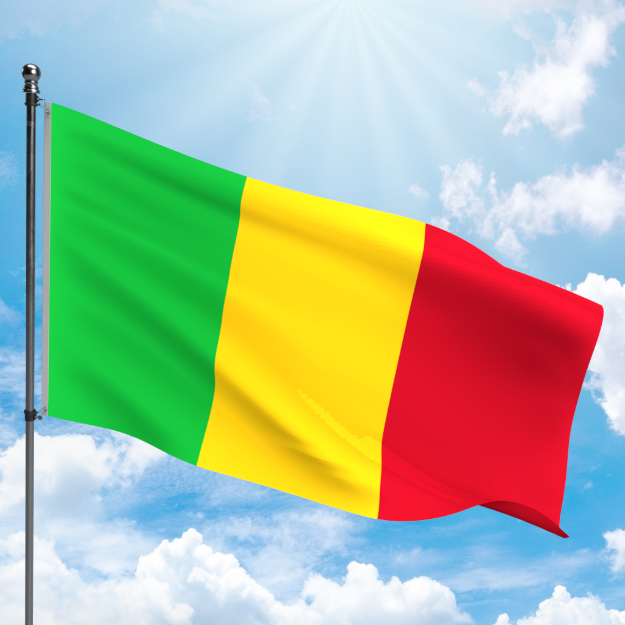 Picture of MALI FLAG