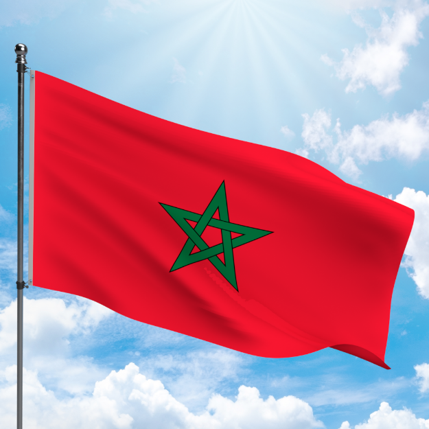 Picture of MOROCCO FLAG