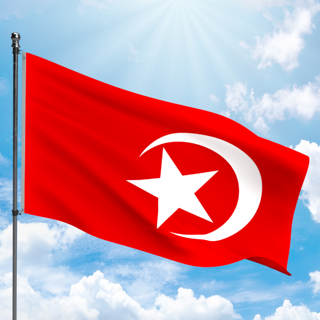 Picture of NATION OF ISLAM FLAG