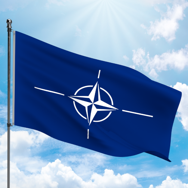 Picture of NATO FLAG