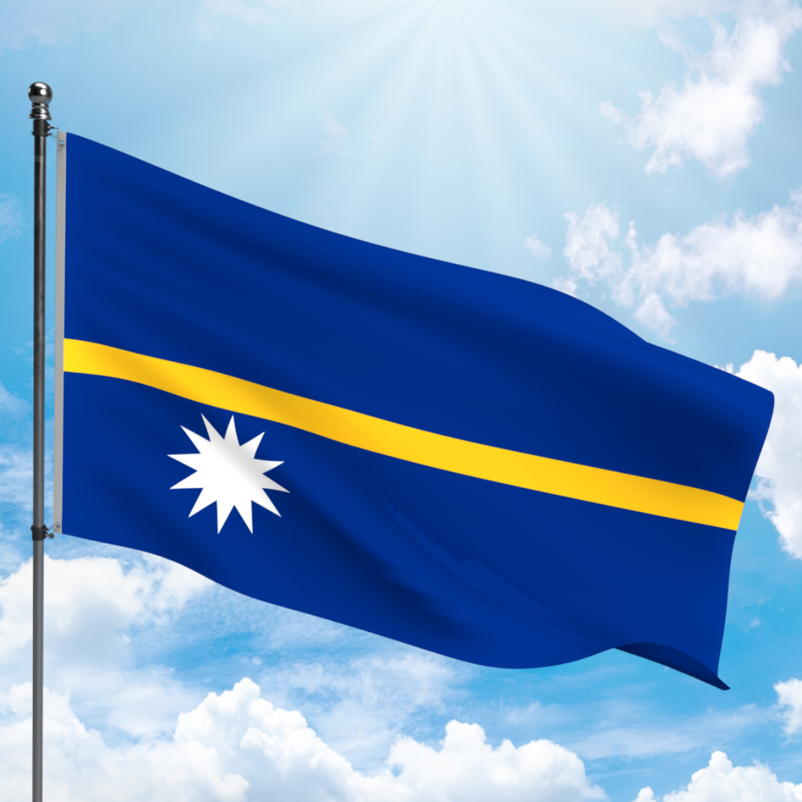 Picture of NAURA FLAG