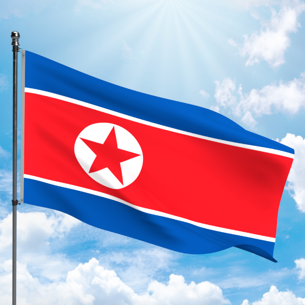 Picture of NORTH KOREA FLAG