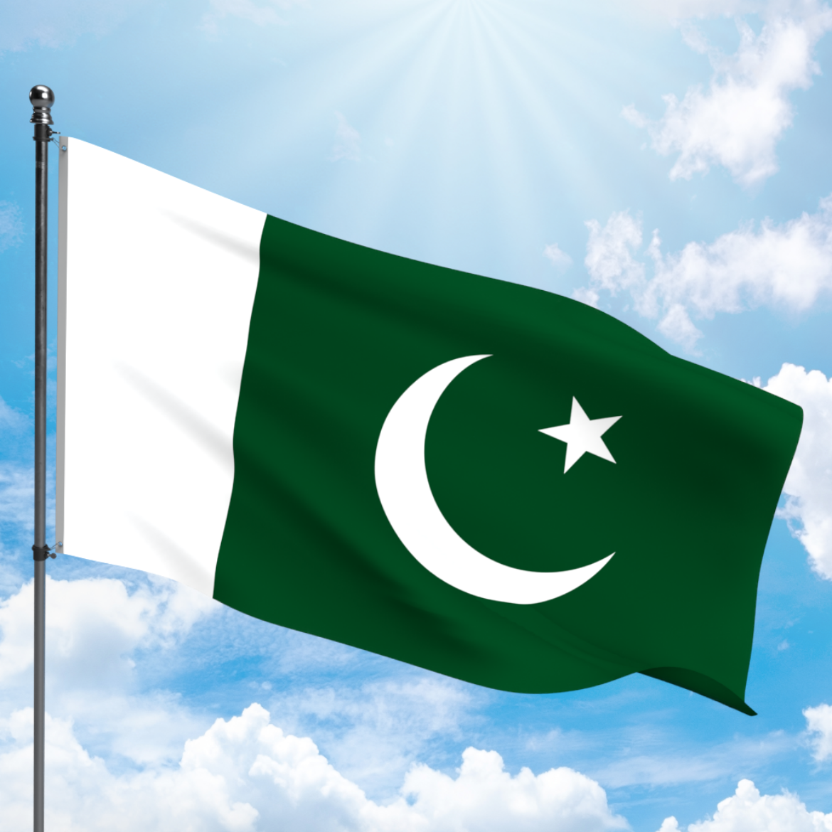 Picture of PAKISTAN FLAG