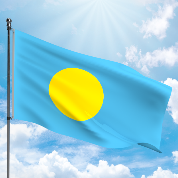 Picture of PALAU FLAG