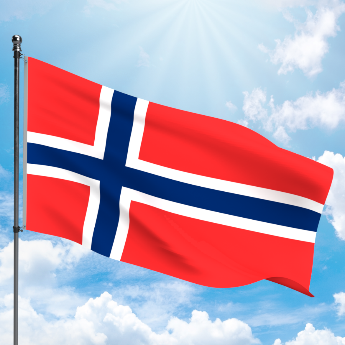 Picture of NORWAY FLAG