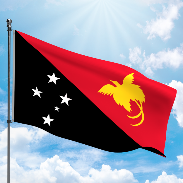 Picture of PAPUA NEW GUINEA FLAG