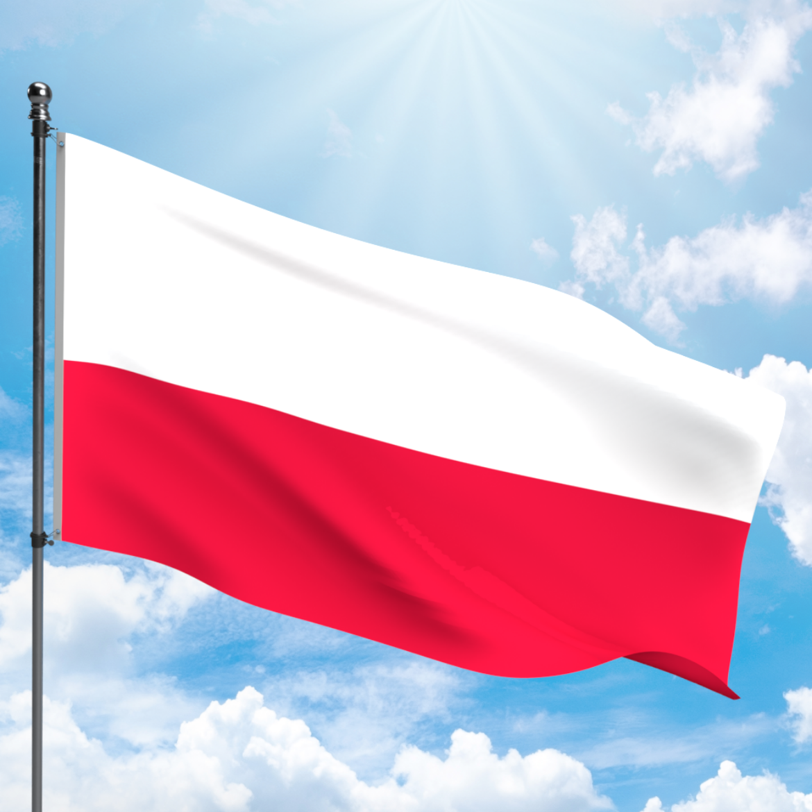 Picture of POLAND FLAG