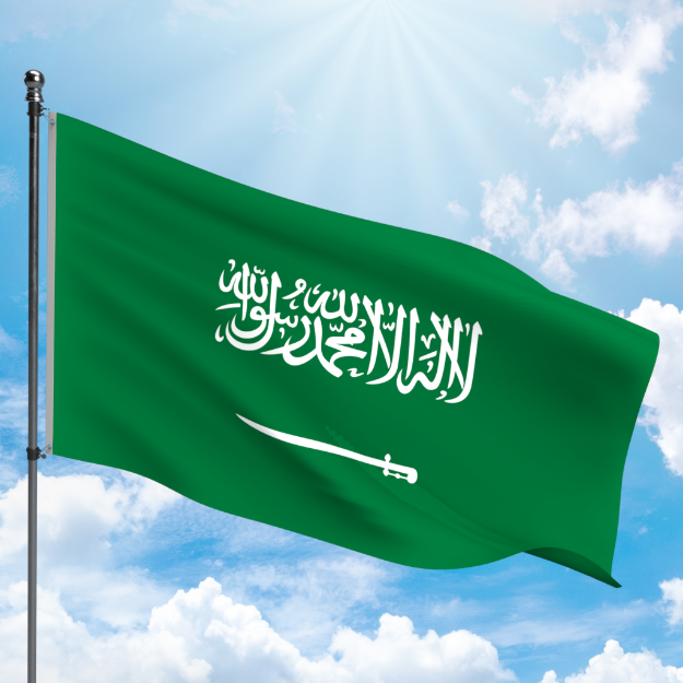 Picture of SAUDI ARABIA FLAG