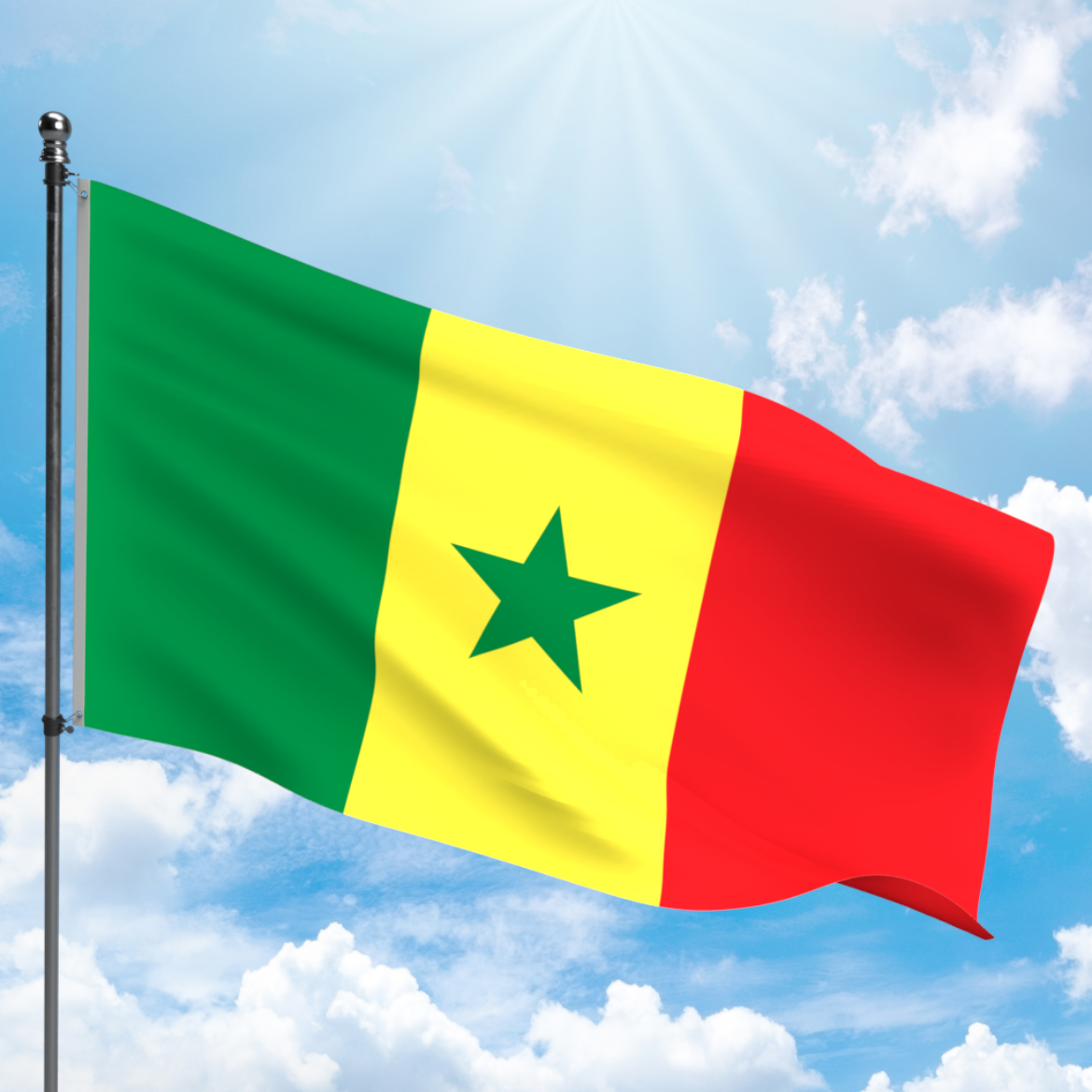 Picture of SENEGAL FLAG