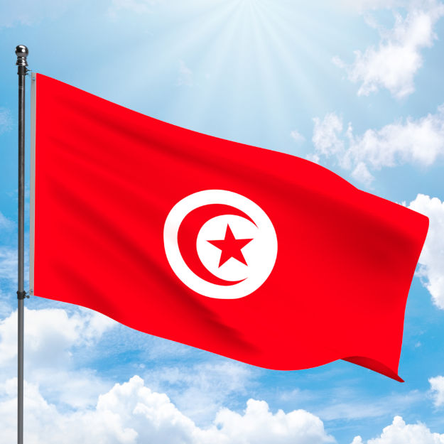 Picture of TUNISIA FLAG