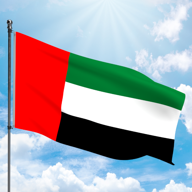 Picture of UNITED ARAB EMIRATES FLAG
