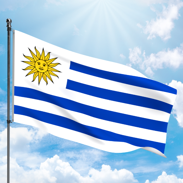 Picture of URUGUAY FLAG