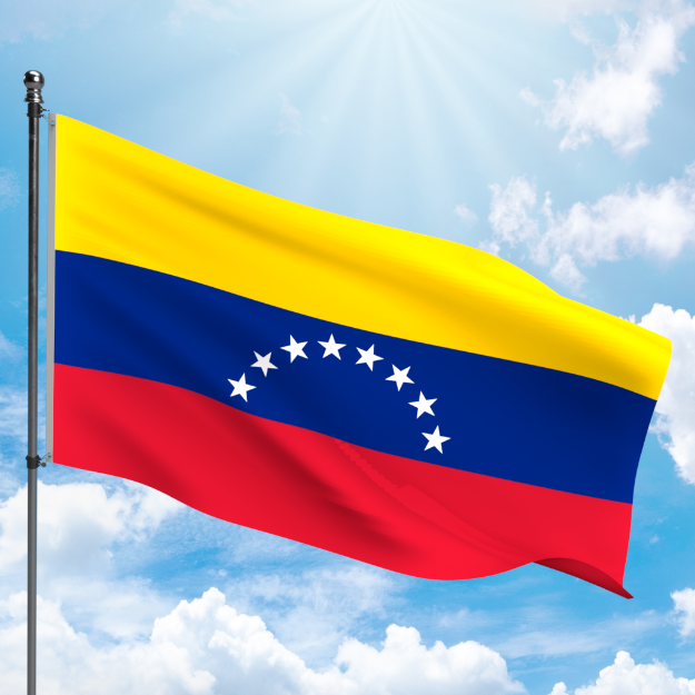 Picture of VENEZUELA FLAG