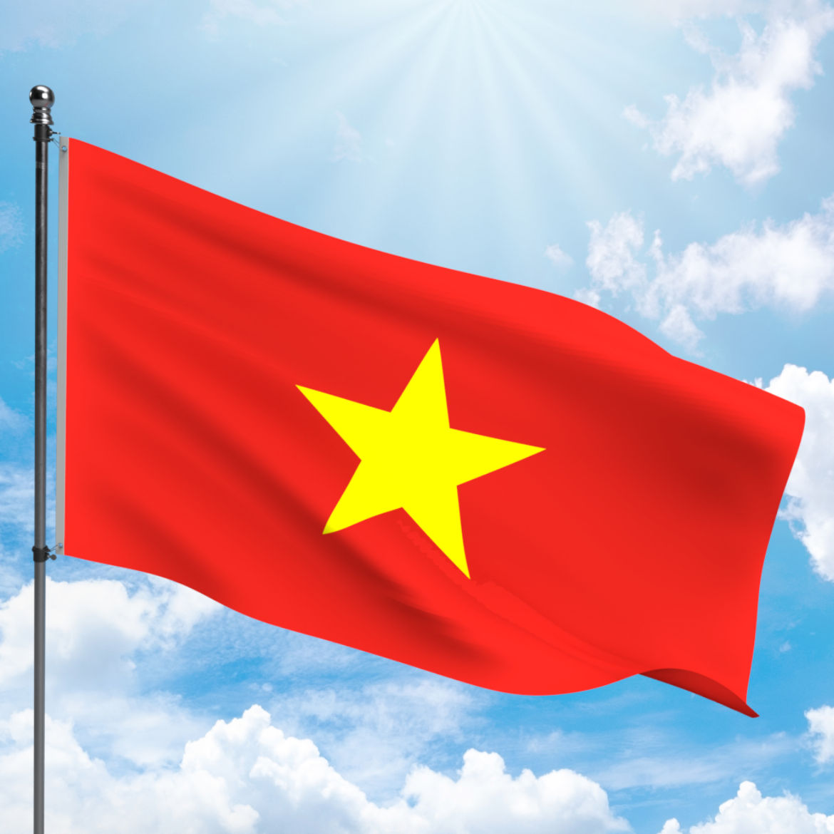 Picture of VIETNAM FLAG