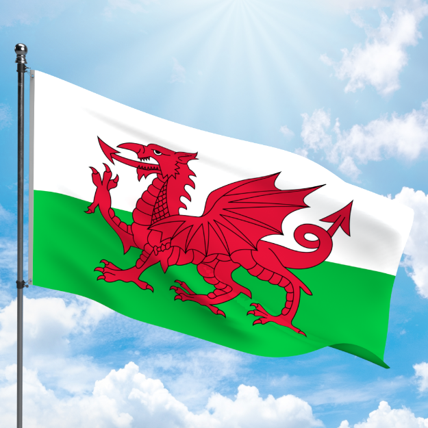 Picture of WALES FLAG