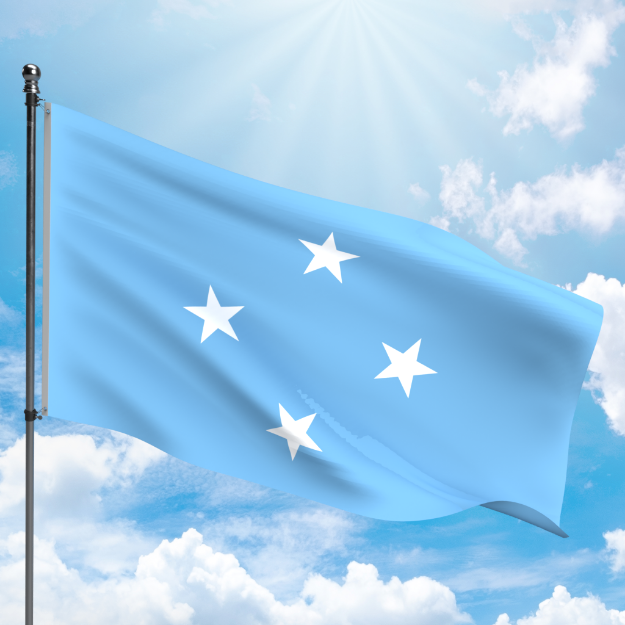 Picture of MICRONESIA FLAG