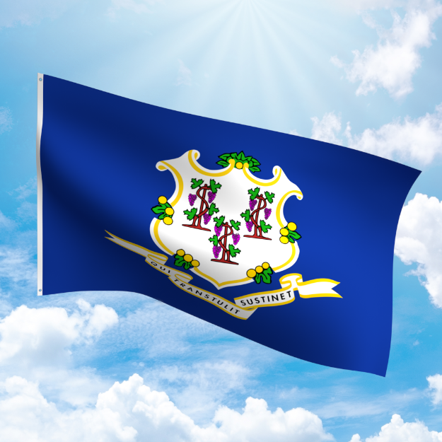 Picture of CONNECTICUT NYLON FLAG