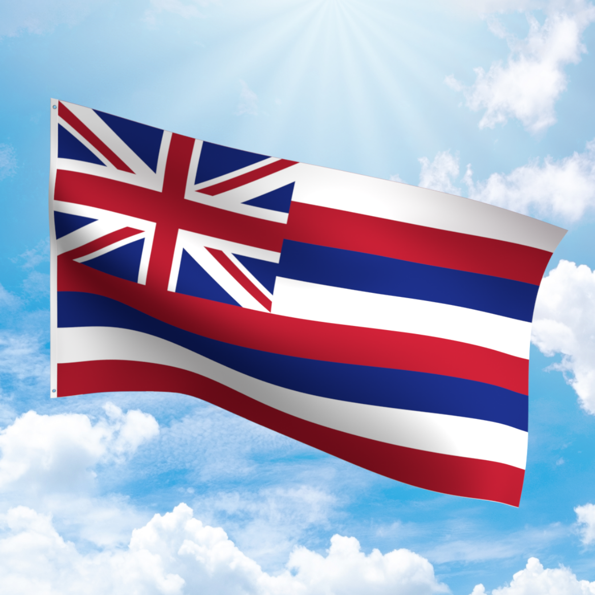 Picture of HAWAII NYLON FLAG