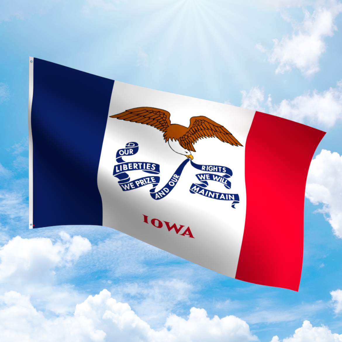 Picture of IOWA NYLON FLAG