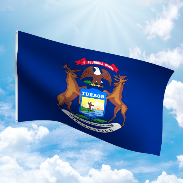 Picture of MICHIGAN NYLON FLAG
