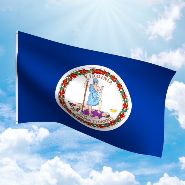 Picture of VIRGINIA NYLON FLAG