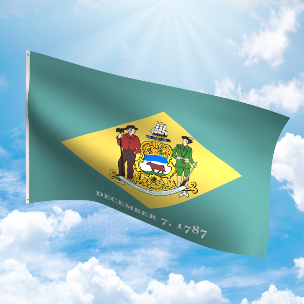 Picture of DELEWARE POLYESTER FLAG