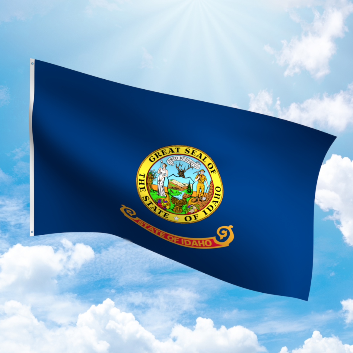 Picture of IDAHO POLYESTER FLAG