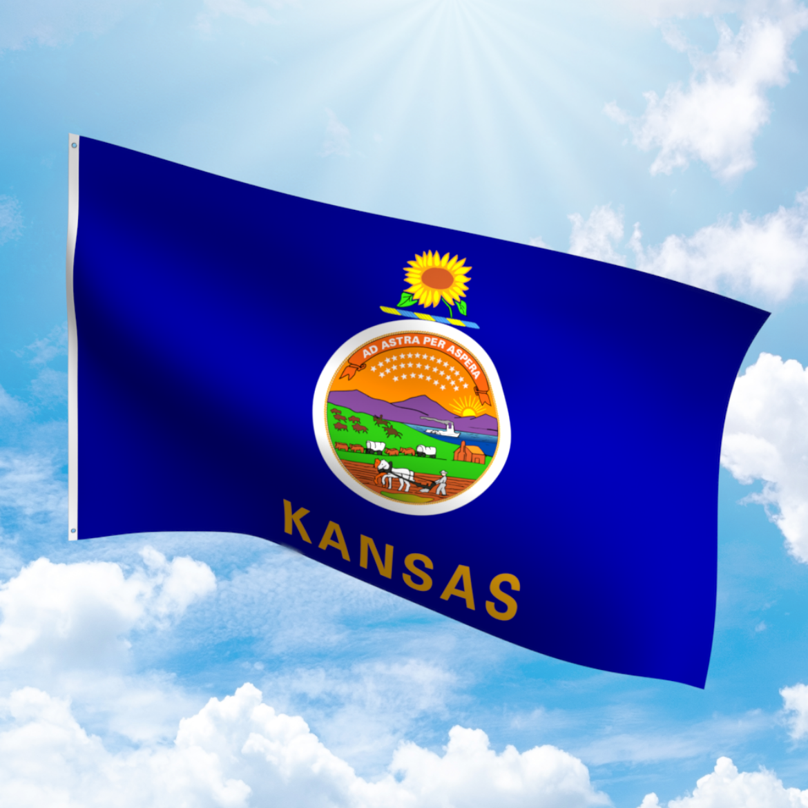 Picture of KANSAS POLYESTER FLAG
