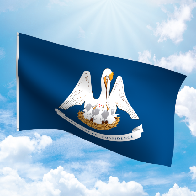 Picture of LOUISIANA POLYESTER FLAG