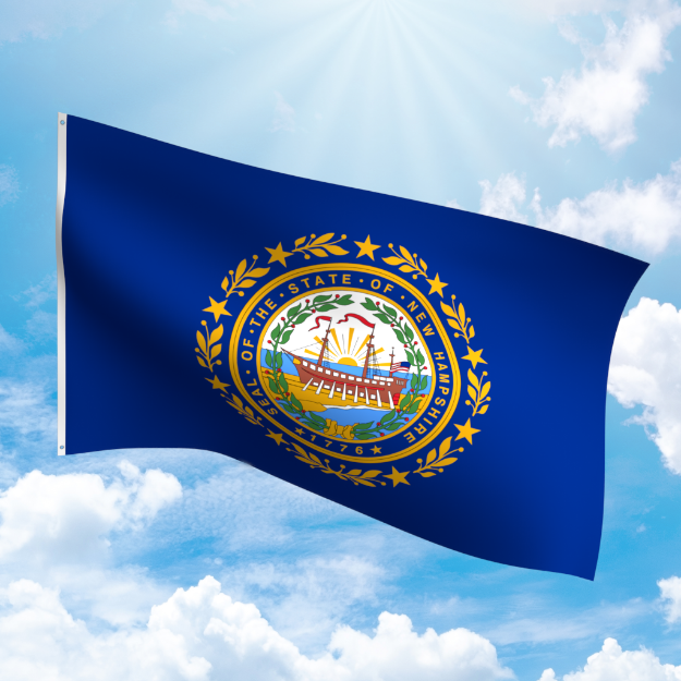 Picture of NEW HAMPSHIRE FLAG