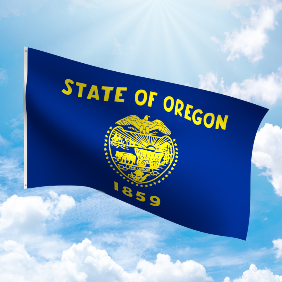 Picture of OREGON POLYESTER FLAG