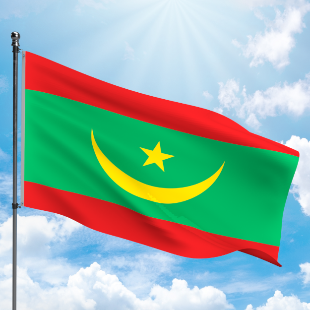 Picture of MAURITANIA FLAG