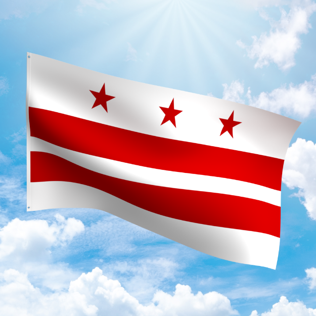 Picture of DISTRICT OF COLUMBIA NYLON FLAG