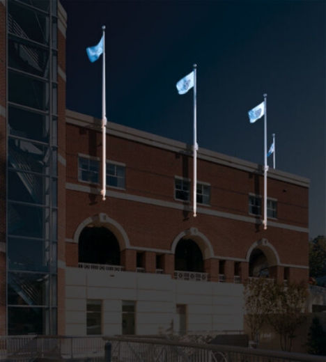 Picture of Vertical Wall Mounted Flagpole